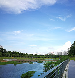 大沙河生態走廊